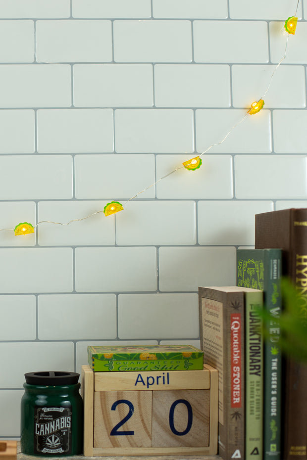 Lightly Toasted Taco Shaped Wire Lights hanging on a book shelf 